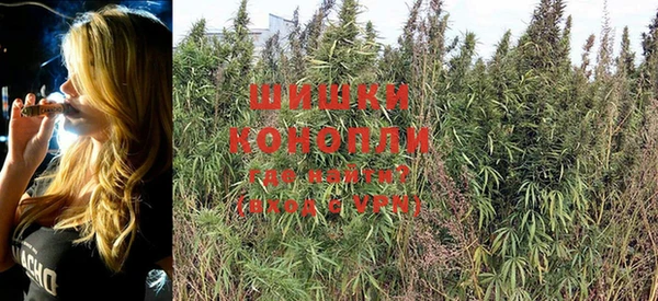 кокс Богородицк