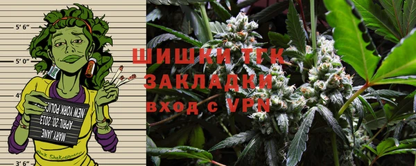 кокс Богородицк