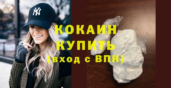 индика Нязепетровск
